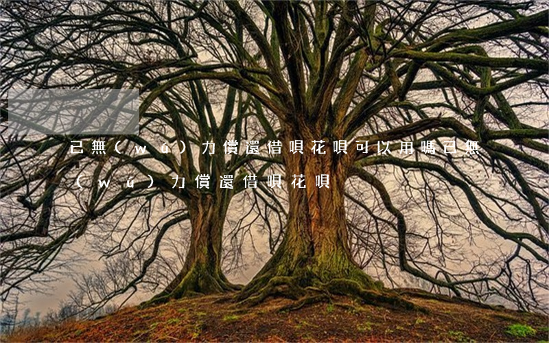 已無(wú)力償還借唄花唄可以用嗎（已無(wú)力償還借唄花唄）