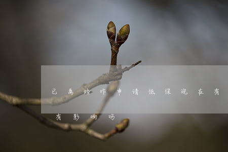 已离婚咋申请低保(现在有低保但是我想离婚有影响吗?)