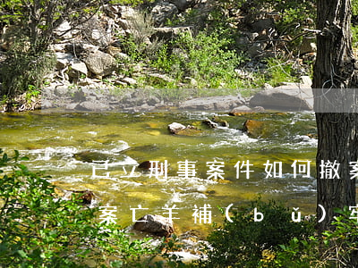 已立刑事案件如何撤案(已立刑事案件如何撤案亡羊補(bǔ)牢,為時(shí)不晚)