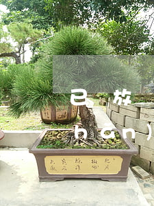 已簽放棄繼承能不能反悔(簽了放棄房產(chǎn)還能繼承嗎)