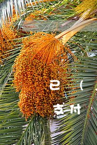已結(jié)清欠款支付寶還是顯示逾期(支付寶把逾期還了以后又要求把所有款都結(jié)清)