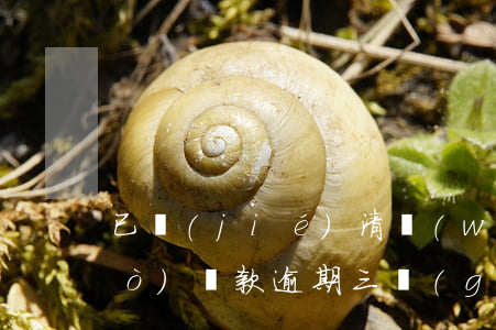 已結(jié)清網(wǎng)絡(luò)貸款逾期三個(gè)月后果-已結(jié)清網(wǎng)絡(luò)貸款逾期三個(gè)月后果怎么樣