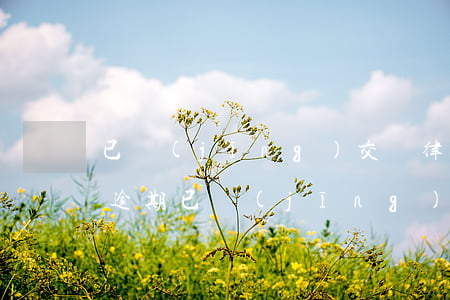 已經(jīng)交給律師處理中的信用卡逾期 已經(jīng)交給律師處理中的信用卡逾期