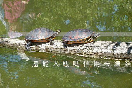 已經(jīng)凍結(jié)的信用卡還能入賬嗎（信用卡凍結(jié)可以看到欠多少錢）