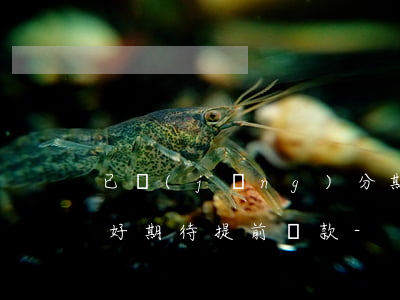 已經(jīng)分期的招聯(lián)好期待提前還款-