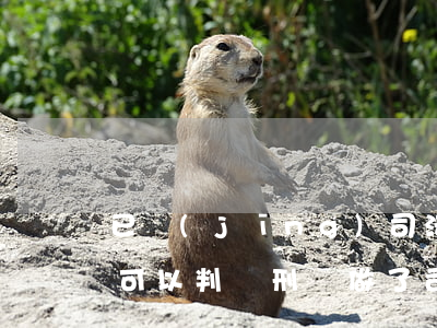 已經(jīng)司法調(diào)查了可以判緩刑嗎(做了司法調(diào)查判緩刑的可能性大嗎)