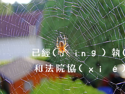 已經(jīng)執(zhí)行了還可以和法院協(xié)商還款嗎-已經(jīng)執(zhí)行了還可以和法院協(xié)商還款嗎怎么辦