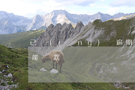 已經(jīng)將逾期還上(逾期已還清還能貸款嗎)