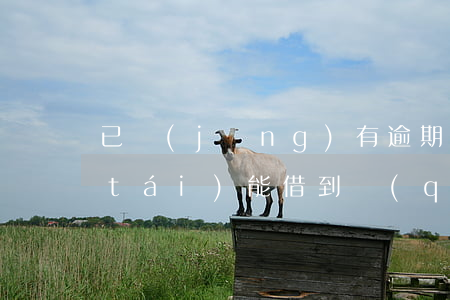 已經(jīng)有逾期了 還有什么平臺(tái)能借到錢(qián) 急用（借得快逾期還能用嗎）