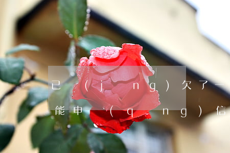 已經(jīng)欠了一萬(wàn)多還能申請(qǐng)信用卡嗎-已經(jīng)欠了一萬(wàn)多還能申請(qǐng)信用卡嗎知乎