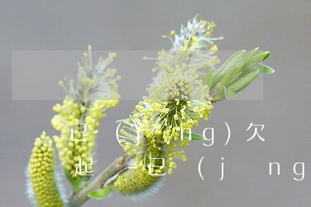 已經(jīng)欠錢還沒拿到錢可以提前起訴-已經(jīng)欠錢還沒拿到錢可以提前起訴嗎