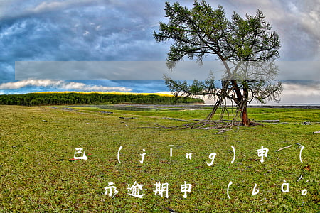 已經(jīng)申報(bào)了怎么還顯示逾期申報(bào)-已經(jīng)申報(bào)了怎么還顯示逾期申報(bào)呢