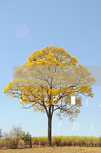已經(jīng)申領(lǐng)年檢標(biāo)怎么還是顯示逾期-年檢標(biāo)網(wǎng)上領(lǐng)取后為什么還顯示逾期未檢驗
