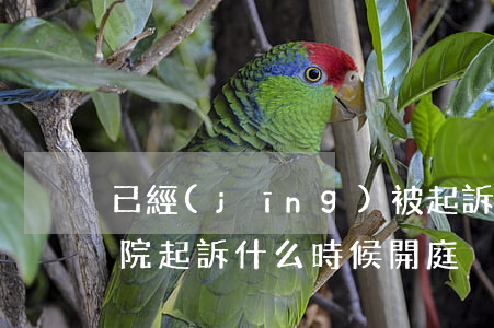 已經(jīng)被起訴了什么時候開庭(法院起訴什么時候開庭)