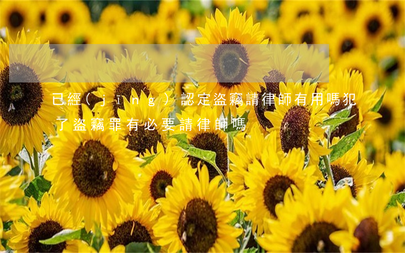 已經(jīng)認定盜竊請律師有用嗎(犯了盜竊罪有必要請律師嗎)