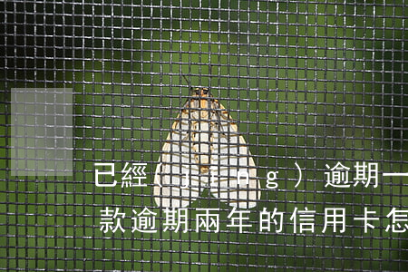 已經(jīng)逾期一年的信用卡怎么還款(逾期兩年的信用卡怎么還)