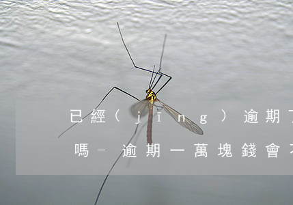 已經(jīng)逾期了一萬可以先還一千嗎-逾期一萬塊錢會不會坐牢