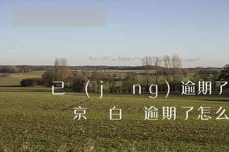 已經(jīng)逾期了京東白條還能申請嗎(京東白條逾期了怎么還)