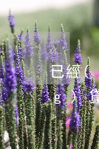 已經(jīng)逾期的人怎么網(wǎng)貸(網(wǎng)貸如果逾期了會(huì)怎么樣)