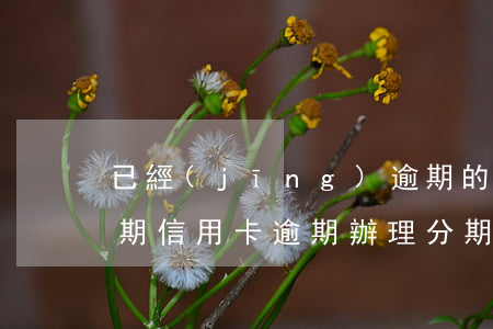 已經(jīng)逾期的信用卡如何辦理分期（信用卡逾期辦理分期后感謝信）