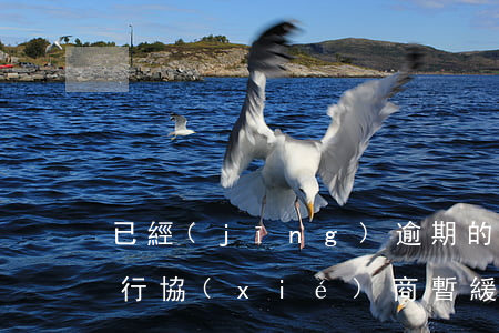 已經(jīng)逾期的信用卡,該如何與銀行協(xié)商暫緩還款（信用卡逾期后怎么協(xié)商停）
