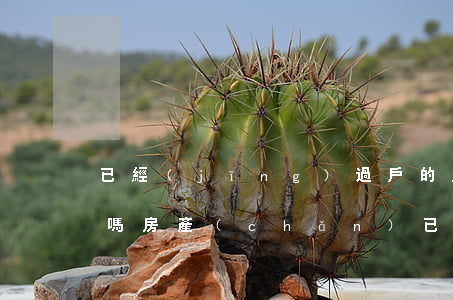 已經(jīng)過戶的房子法院可以查封嗎(房產(chǎn)已經(jīng)過戶法院還能查封嗎)