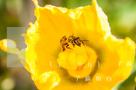 已經(jīng)還了逾期白條(已經(jīng)還了逾期白條,還要求把剩下的金額全部還完,合理嗎)