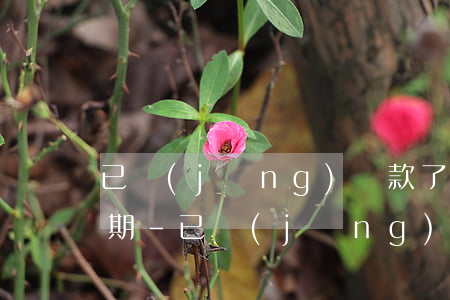 已經(jīng)還款了百行征信還顯示逾期-已經(jīng)還款了百行征信還顯示逾期怎么辦