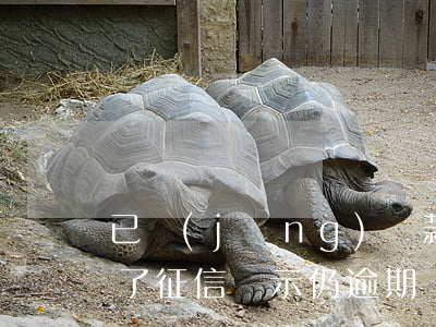 已經(jīng)還款征信顯示逾期(欠款還了征信顯示仍逾期)
