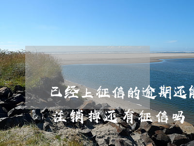 已经上征信的逾期还能消掉吗（逾期的信用卡注销掉还有征信吗）