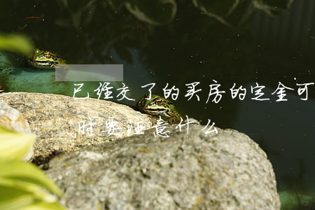已经交了的买房的定金可以退吗（买房交定金时要注意什么）