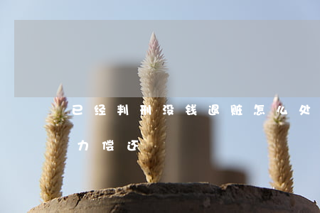 已经判刑没钱退赃怎么处理（判刑且退还但无力偿还）