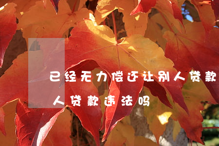 已经无力偿还让别人贷款(已经无力偿还让别人贷款违法吗)
