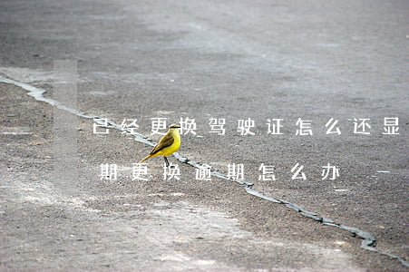 已经更换驾驶证怎么还显示逾期-驾驶证到期更换逾期怎么办