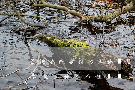 已被法院查封的土地還可以保全嗎(被法院查封的土地可以租賃嗎)
