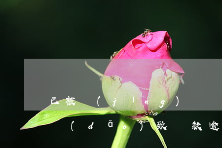 已被經(jīng)偵凍結(jié)賬戶導(dǎo)致貸款逾期-已被經(jīng)偵凍結(jié)賬戶導(dǎo)致貸款逾期怎么辦