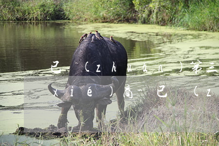 已轉(zhuǎn)第三方怎么跟銀行協(xié)商-已轉(zhuǎn)第三方怎么跟銀行協(xié)商還款