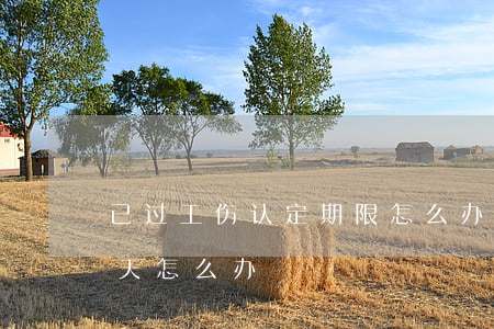 已过工伤认定期限怎么办（工伤鉴定逾期十几天怎么办）