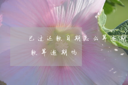 已过还款日期怎么算逾期(到期还款日当天还款算逾期吗)