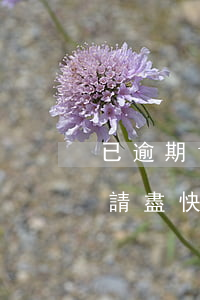 已逾期1天，別再拖延了！您的賬戶已逾期1天，請盡快處理
