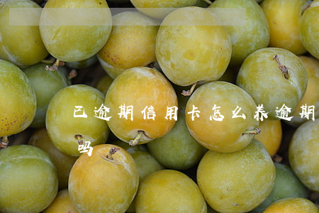 已逾期信用卡怎么养 逾期了可以申请信用卡吗