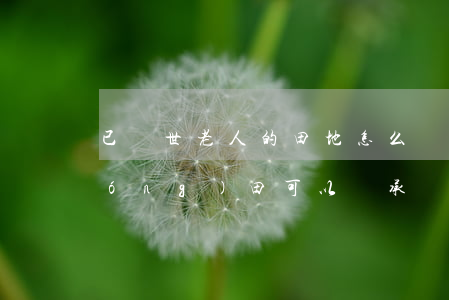 已過世老人的田地怎么繼承(人去世后農(nóng)田可以繼承嗎)