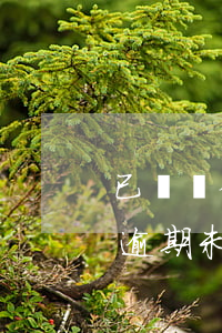 已選號牌逾期未確認有什么后果-已選號牌逾期未確認有什么后果嗎