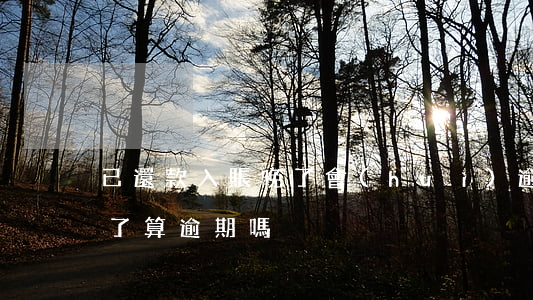 已還款入賬晚了會(huì)逾期嗎(入賬晚了算逾期嗎)
