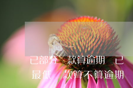 已部分還款算逾期嗎(已經(jīng)還了最低還款算不算逾期)