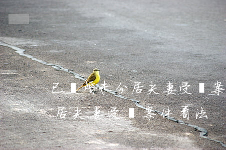 已離婚未分居夫妻受賄案件看法(已離婚未分居夫妻受賄案件看法)