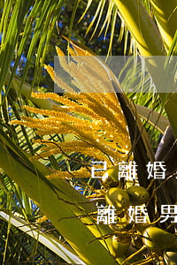 已離婚男方給的彩禮女方還退回嗎(女方起訴離婚男方要彩禮是不是要退還)