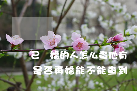 已離婚的人怎么查他有沒(méi)有再婚(是否再婚能不能查到)