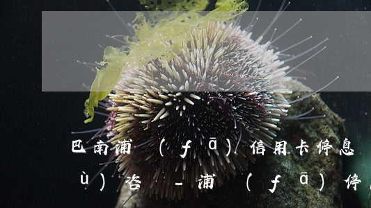巴南浦發(fā)信用卡停息掛賬法務(wù)咨詢-浦發(fā)停息掛賬手續(xù)費(fèi)收多少