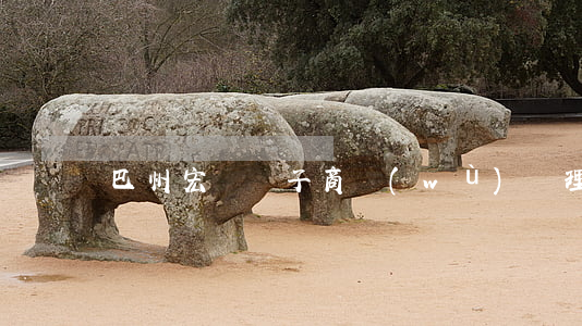 巴州宏誠電子商務(wù)處理逾期靠譜嗎